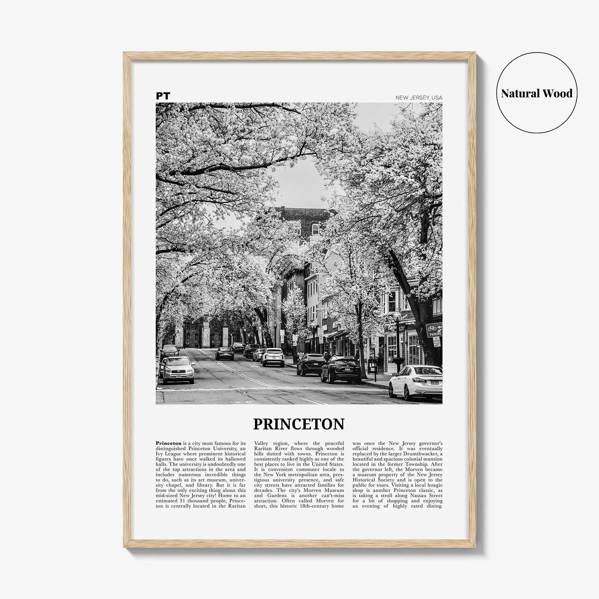 Princeton Print Black and White, Princeton Wall Art, Princeton Poster, Princeton Photo, Princeton Wall Décor, New Jersey, USA, United States