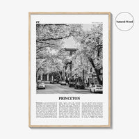 Princeton Print Black and White, Princeton Wall Art, Princeton Poster, Princeton Photo, Princeton Wall Décor, New Jersey, USA, United States