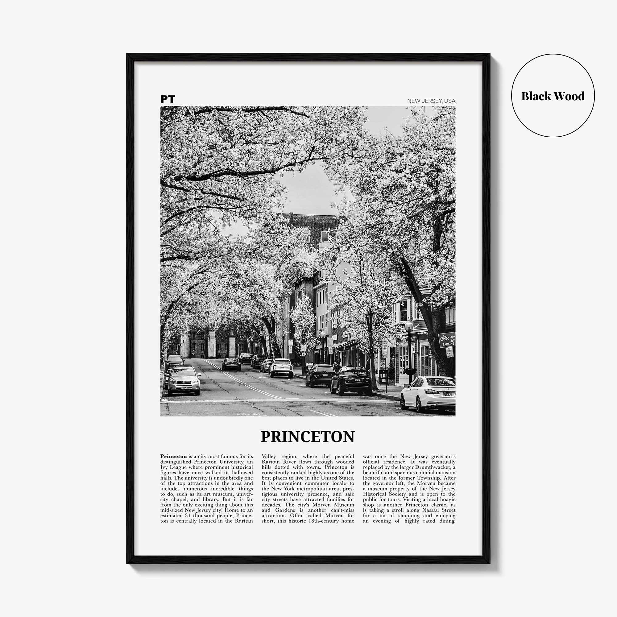 Princeton Print Black and White, Princeton Wall Art, Princeton Poster, Princeton Photo, Princeton Wall Décor, New Jersey, USA, United States