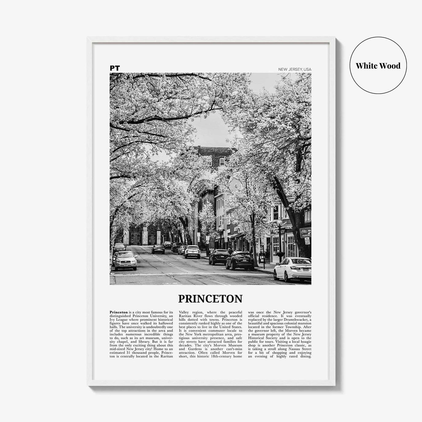 Princeton Print Black and White, Princeton Wall Art, Princeton Poster, Princeton Photo, Princeton Wall Décor, New Jersey, USA, United States