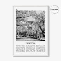 Princeton Print Black and White, Princeton Wall Art, Princeton Poster, Princeton Photo, Princeton Wall Décor, New Jersey, USA, United States