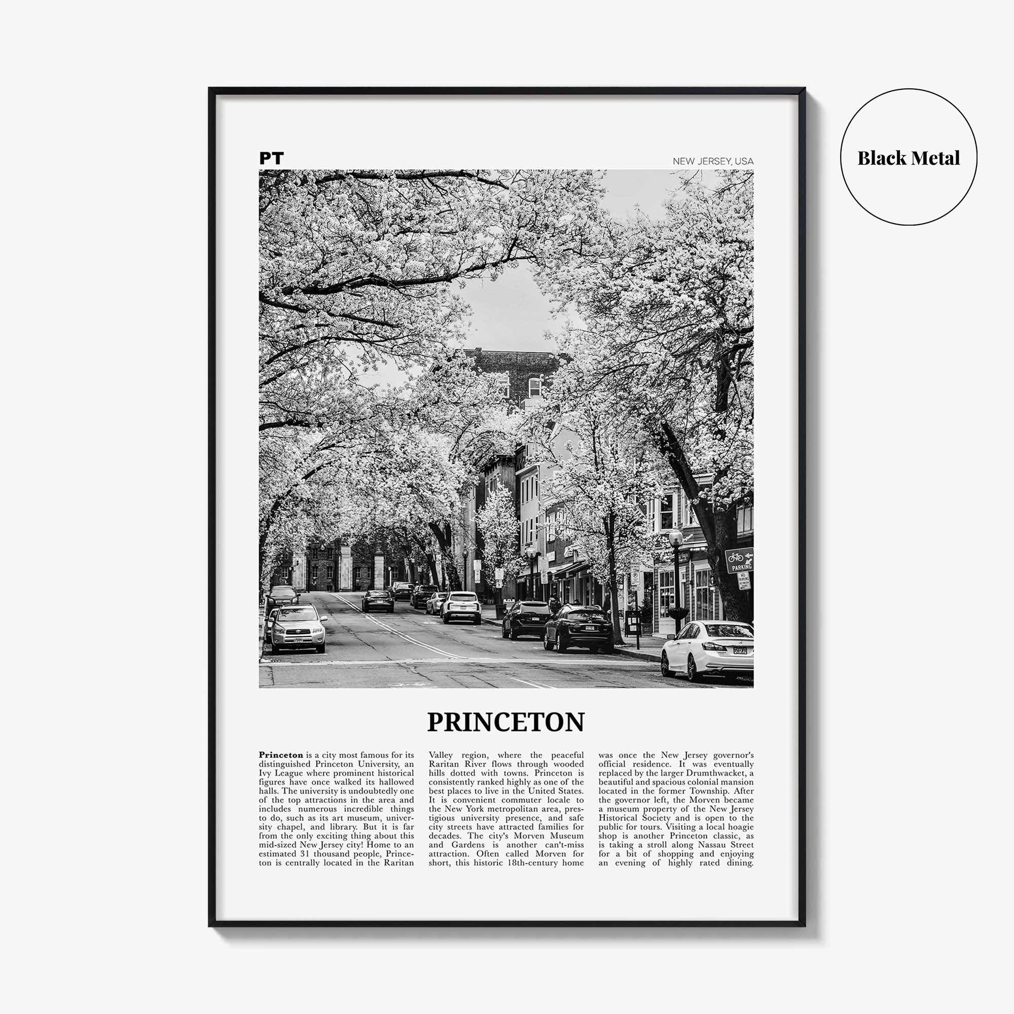 Princeton Print Black and White, Princeton Wall Art, Princeton Poster, Princeton Photo, Princeton Wall Décor, New Jersey, USA, United States