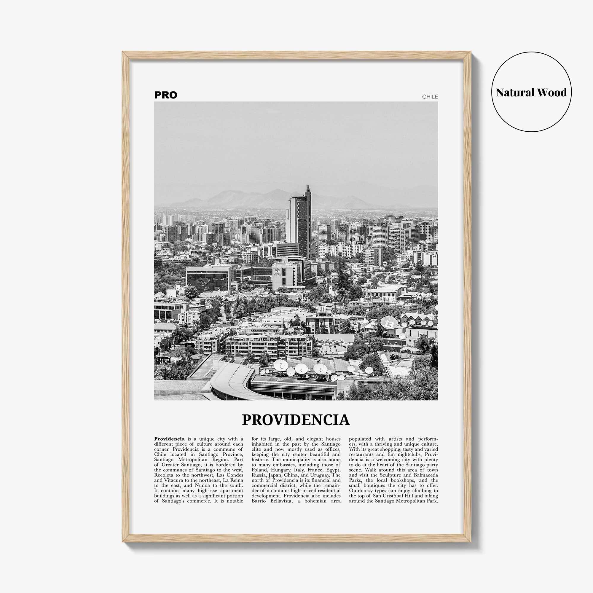 Providencia Print Black and White, Providencia Wall Art, Providencia Poster, Providencia Photo, Providencia Wall Decor, Chile, South America