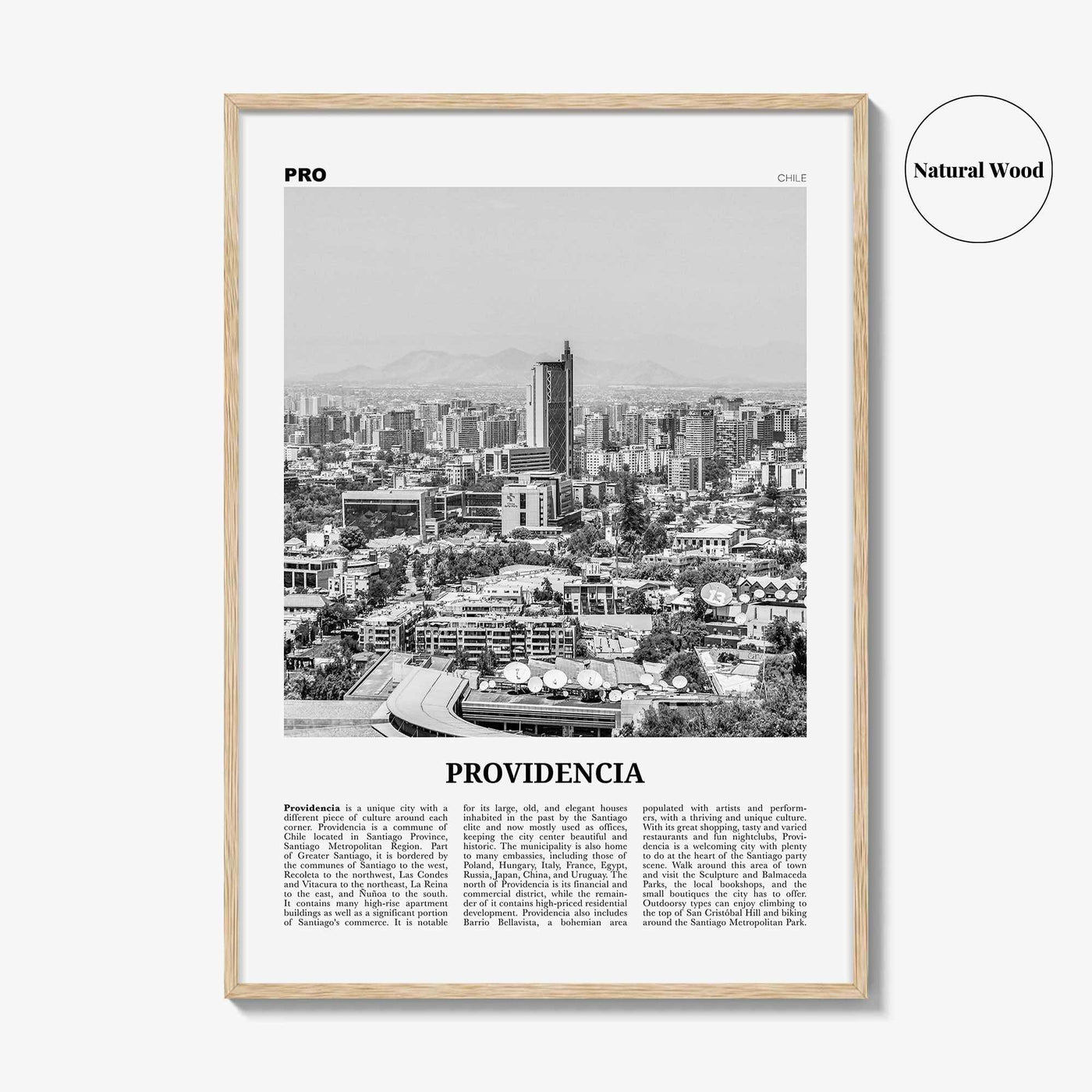 Providencia Print Black and White, Providencia Wall Art, Providencia Poster, Providencia Photo, Providencia Wall Decor, Chile, South America