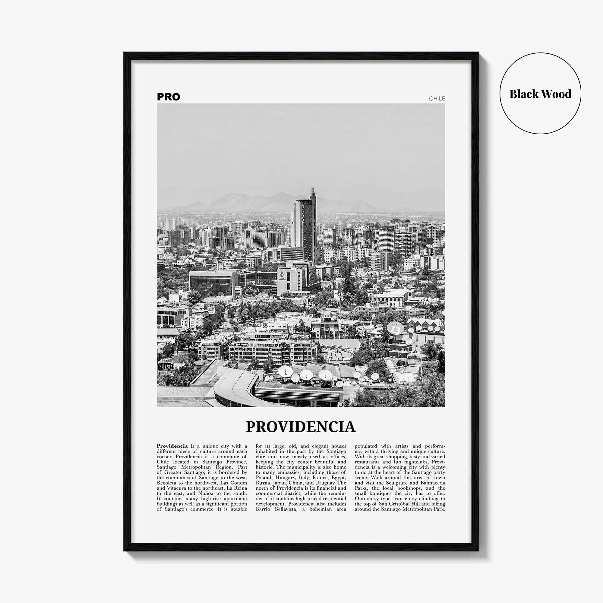 Providencia Print Black and White, Providencia Wall Art, Providencia Poster, Providencia Photo, Providencia Wall Decor, Chile, South America