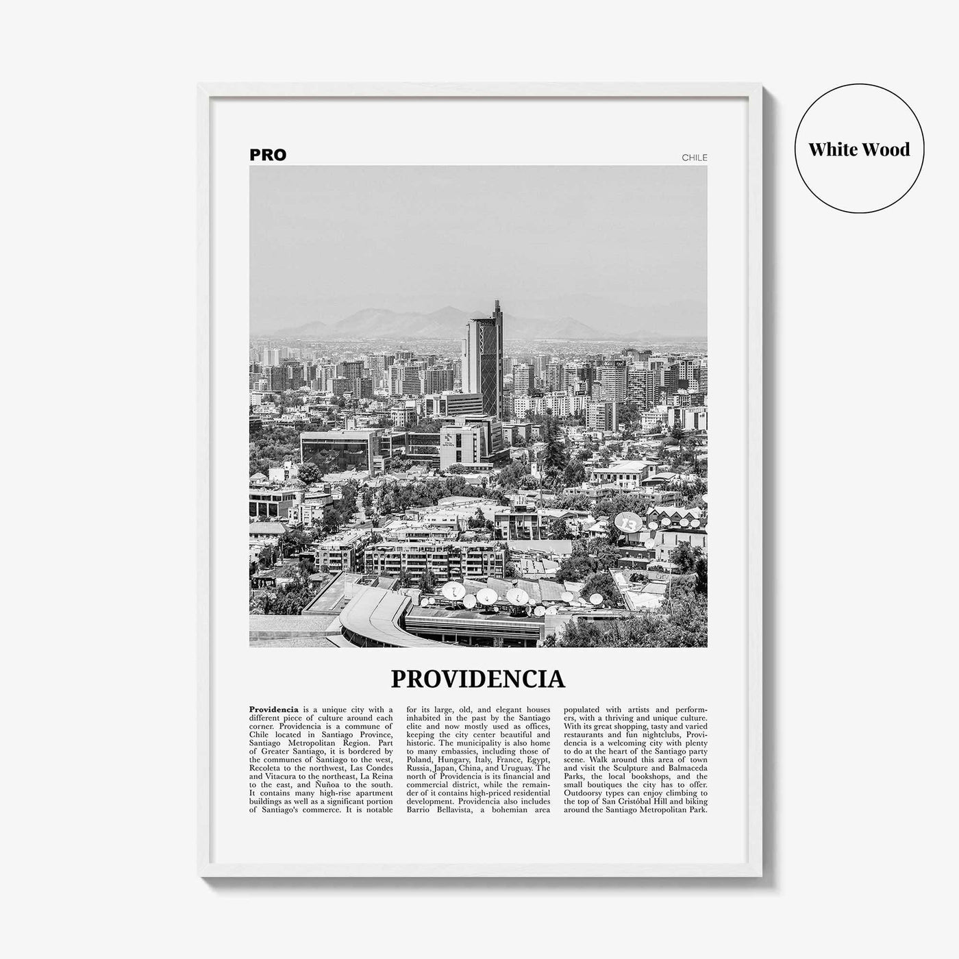 Providencia Print Black and White, Providencia Wall Art, Providencia Poster, Providencia Photo, Providencia Wall Decor, Chile, South America