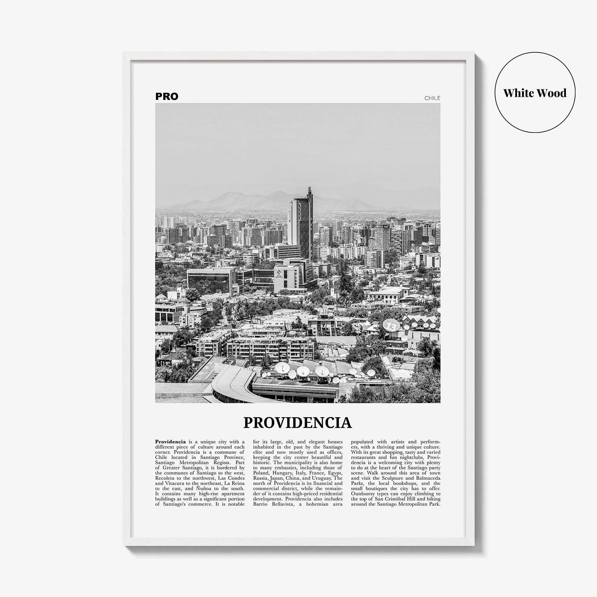 Providencia Print Black and White, Providencia Wall Art, Providencia Poster, Providencia Photo, Providencia Wall Decor, Chile, South America