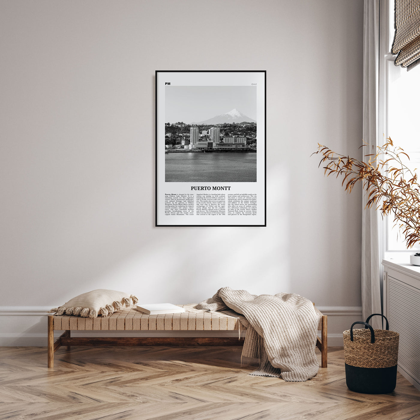 Puerto Montt Travel B&W Poster