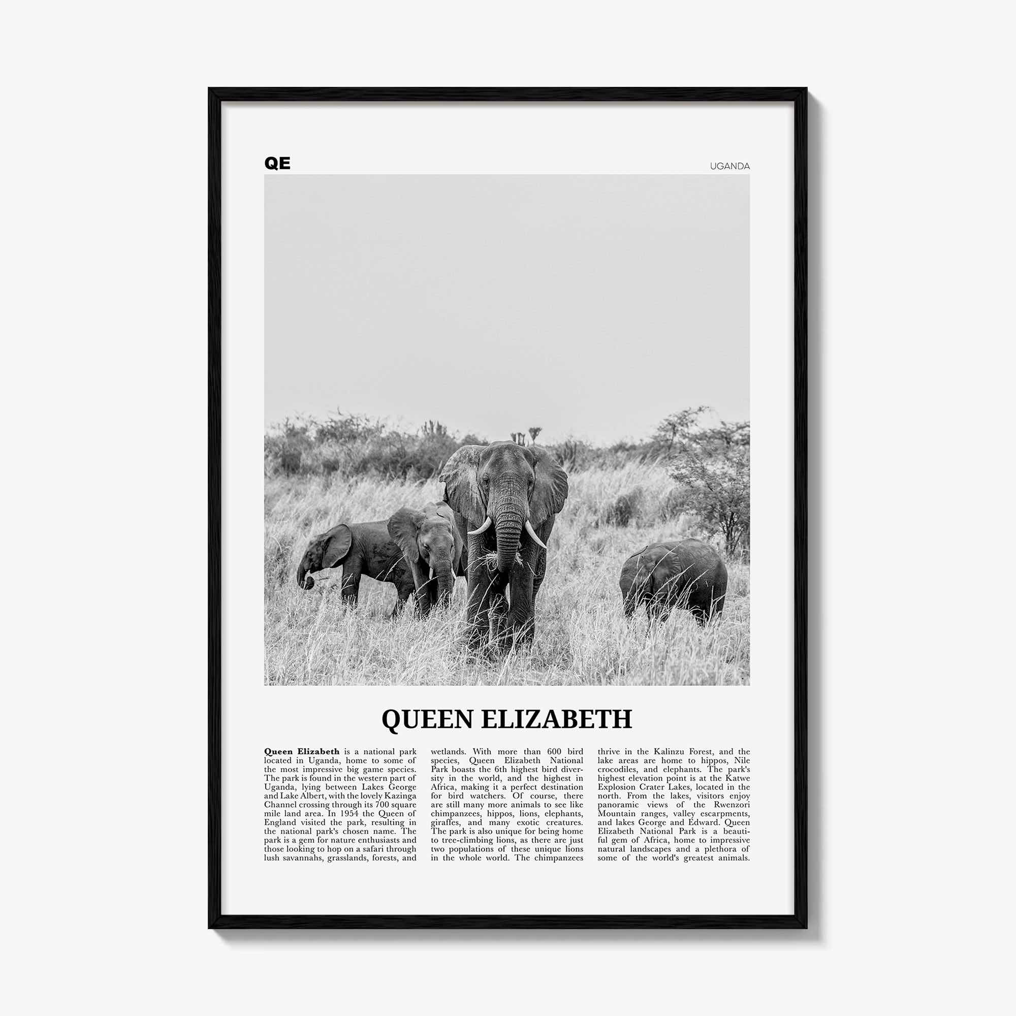Queen Elizabeth National Park Print Black and White, Queen Elizabeth Wall Art, Queen Elizabeth Poster, Queen Elizabeth Photo, Uganda