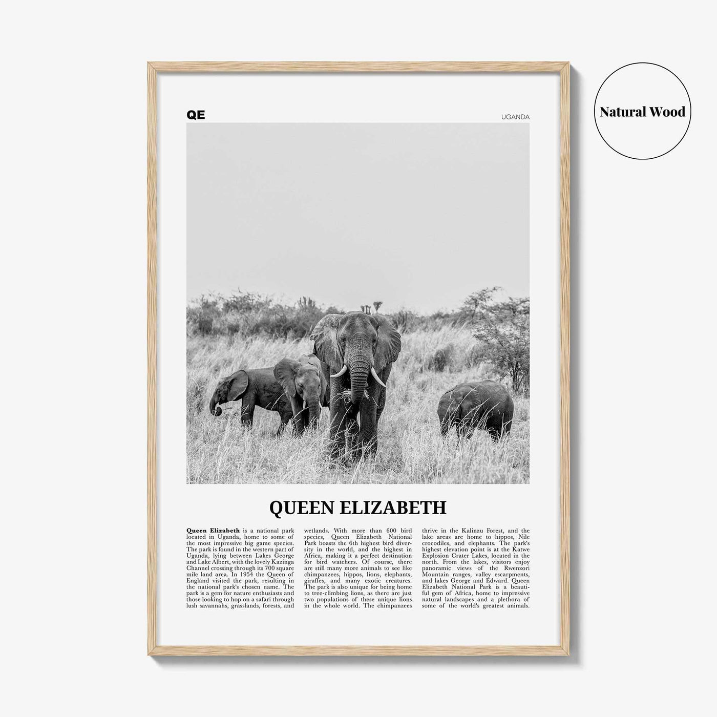 Queen Elizabeth National Park Print Black and White, Queen Elizabeth Wall Art, Queen Elizabeth Poster, Queen Elizabeth Photo, Uganda