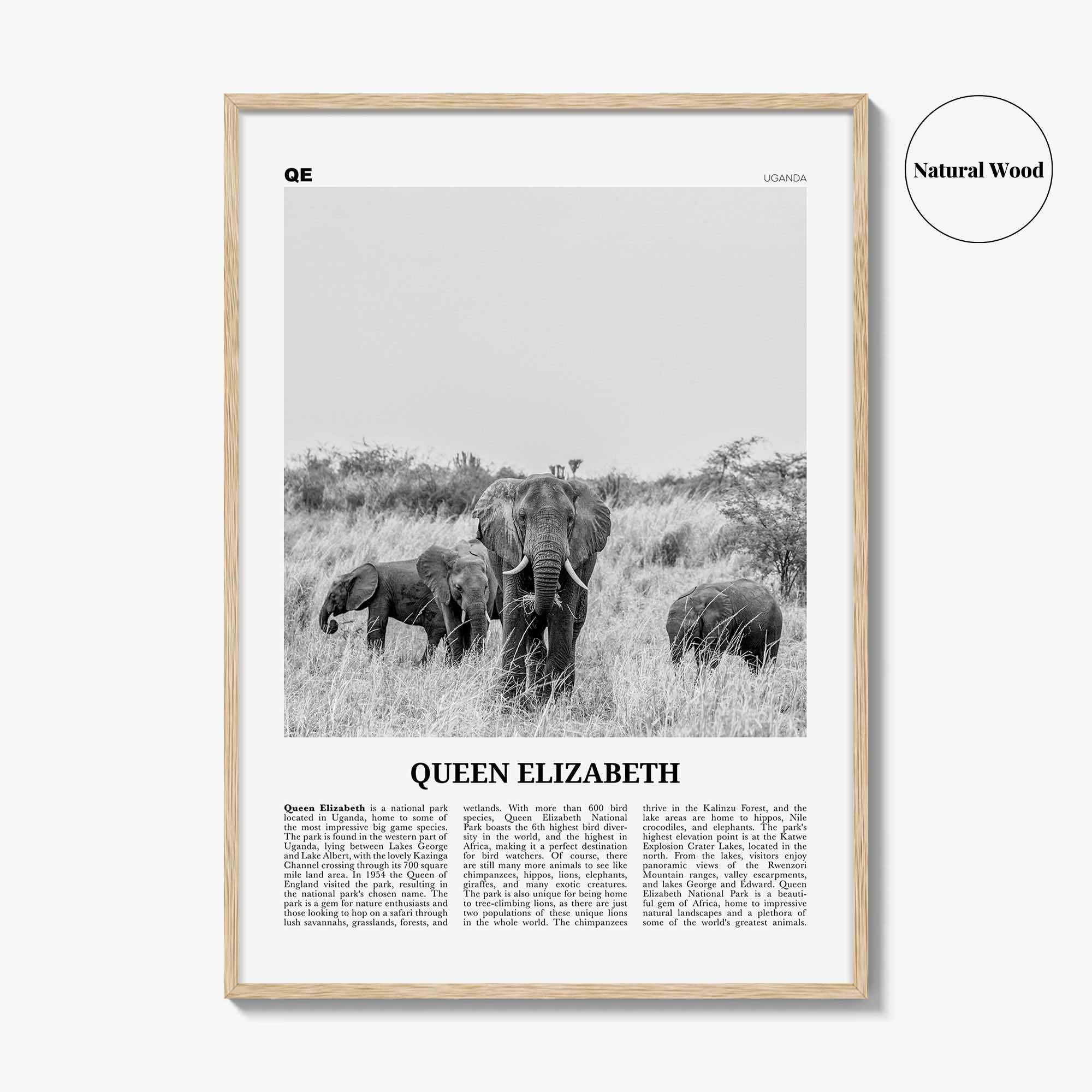 Queen Elizabeth National Park Print Black and White, Queen Elizabeth Wall Art, Queen Elizabeth Poster, Queen Elizabeth Photo, Uganda