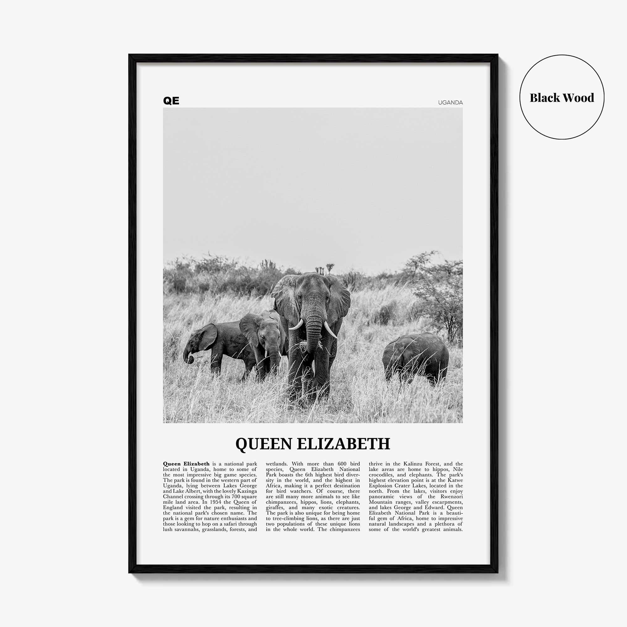 Queen Elizabeth National Park Print Black and White, Queen Elizabeth Wall Art, Queen Elizabeth Poster, Queen Elizabeth Photo, Uganda