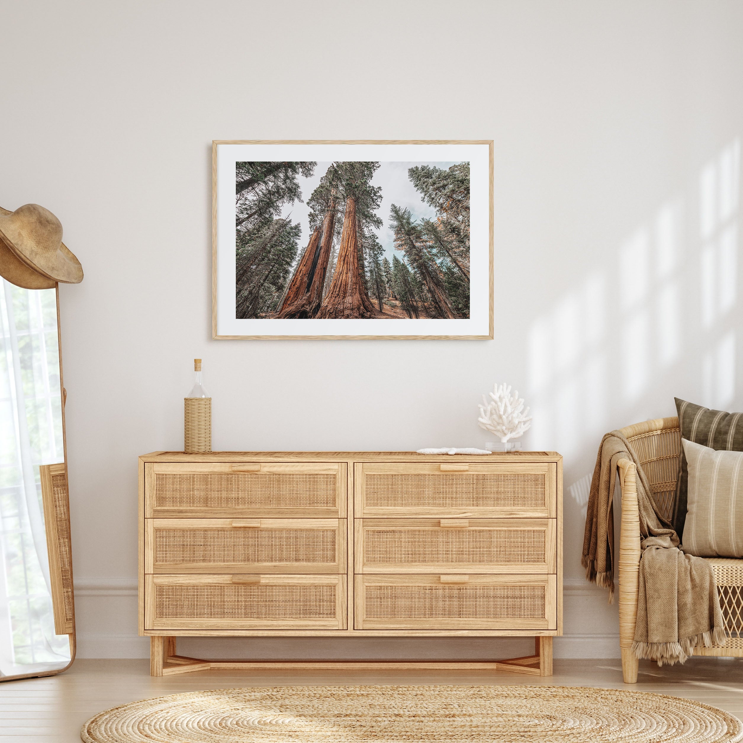 Redwood National Park Landscape Color Poster
