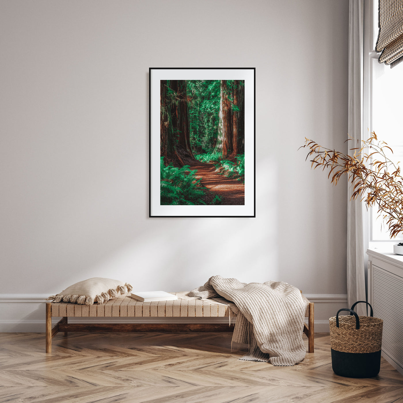 Redwood National Park Photo Color No 2 Poster
