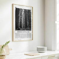 Redwood National Park Print Black and White, Redwood National Park Wall Art, Redwood National Park Poster, Park Photo, Wall Décor, Map