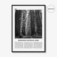 Redwood National Park Print Black and White, Redwood National Park Wall Art, Redwood National Park Poster, Park Photo, Wall Décor, Map