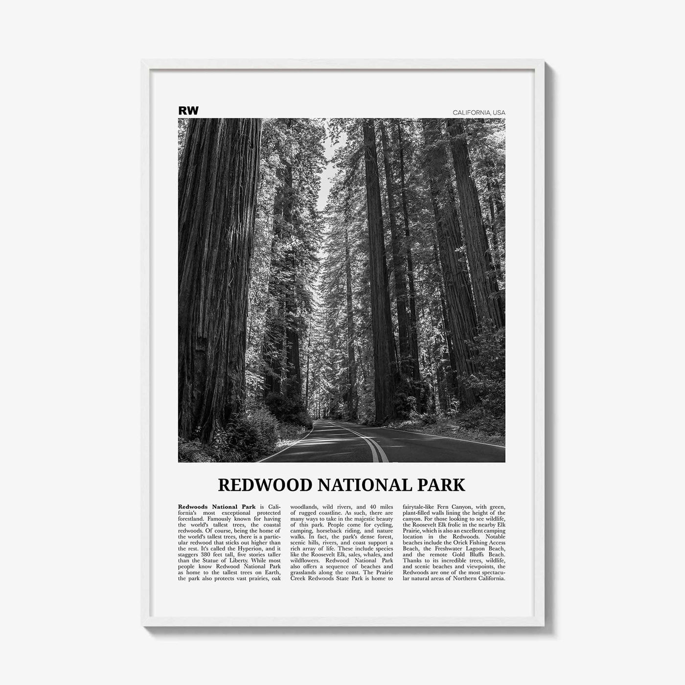 White Wood