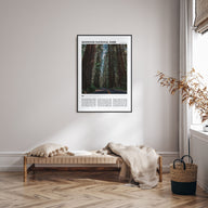 Redwood National Park Travel Color Poster