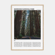 Redwood National Park Travel Color Poster