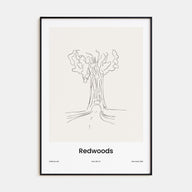 Redwoods Drawn Poster