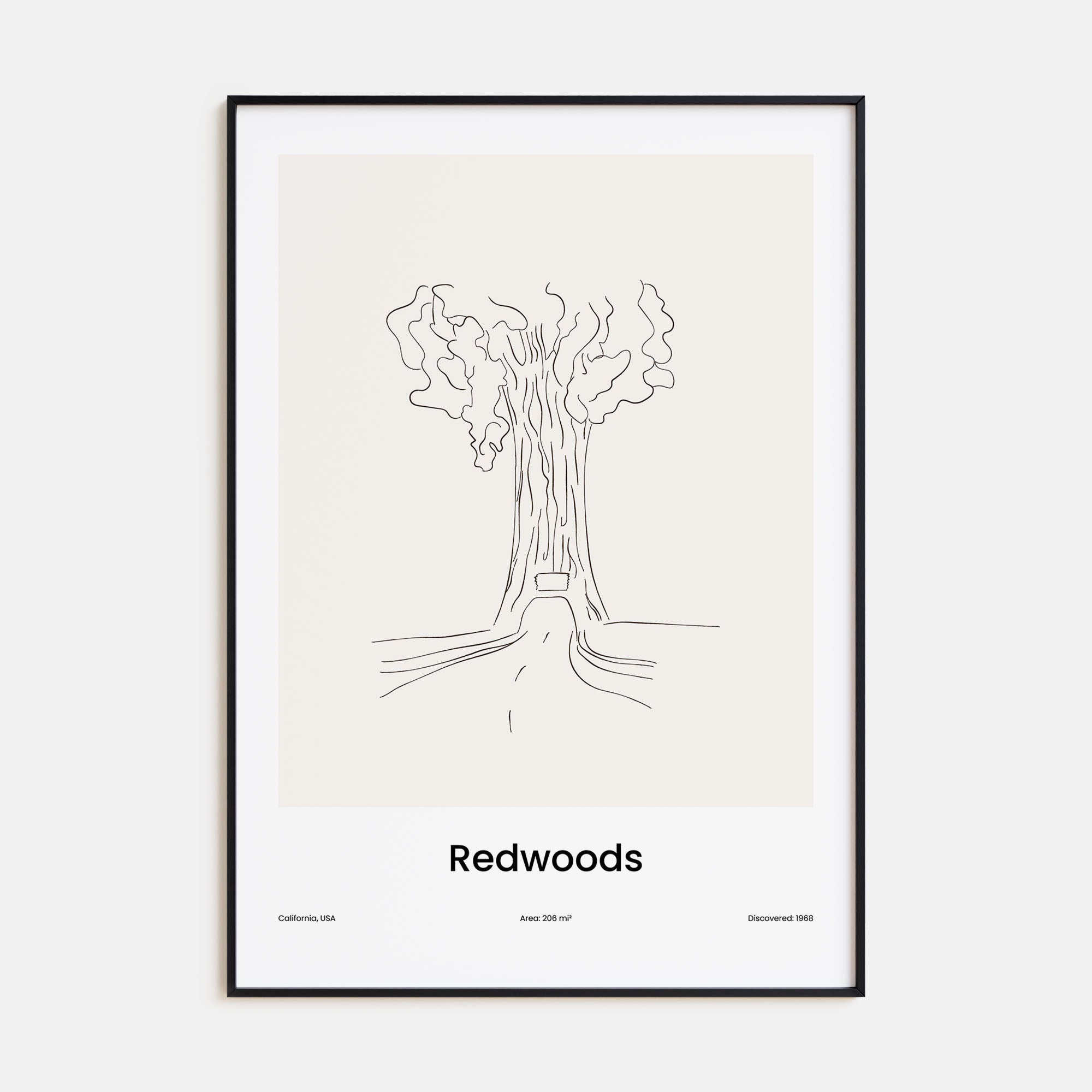 Redwoods Drawn Poster