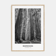 Redwoods Portrait B&W Poster