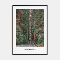 Redwoods Portrait Color Poster