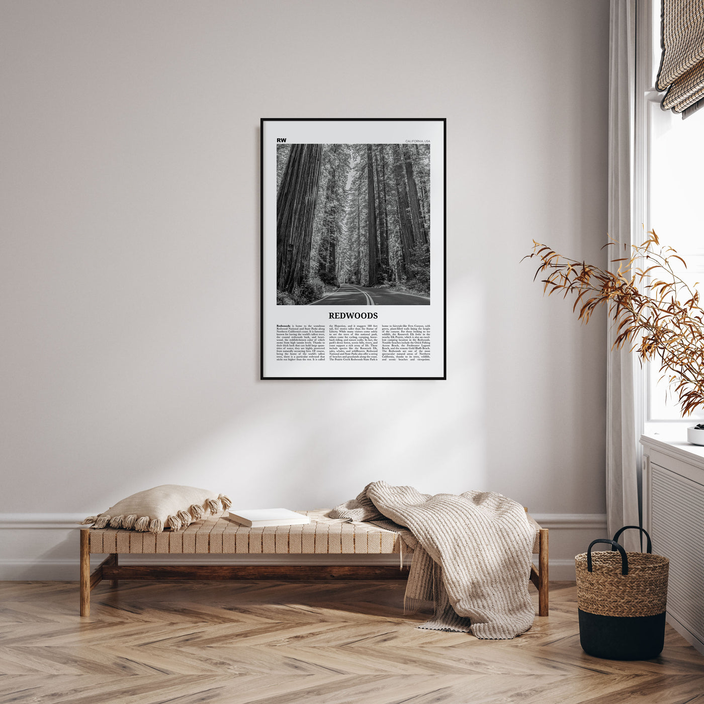 Redwoods Travel B&W Poster