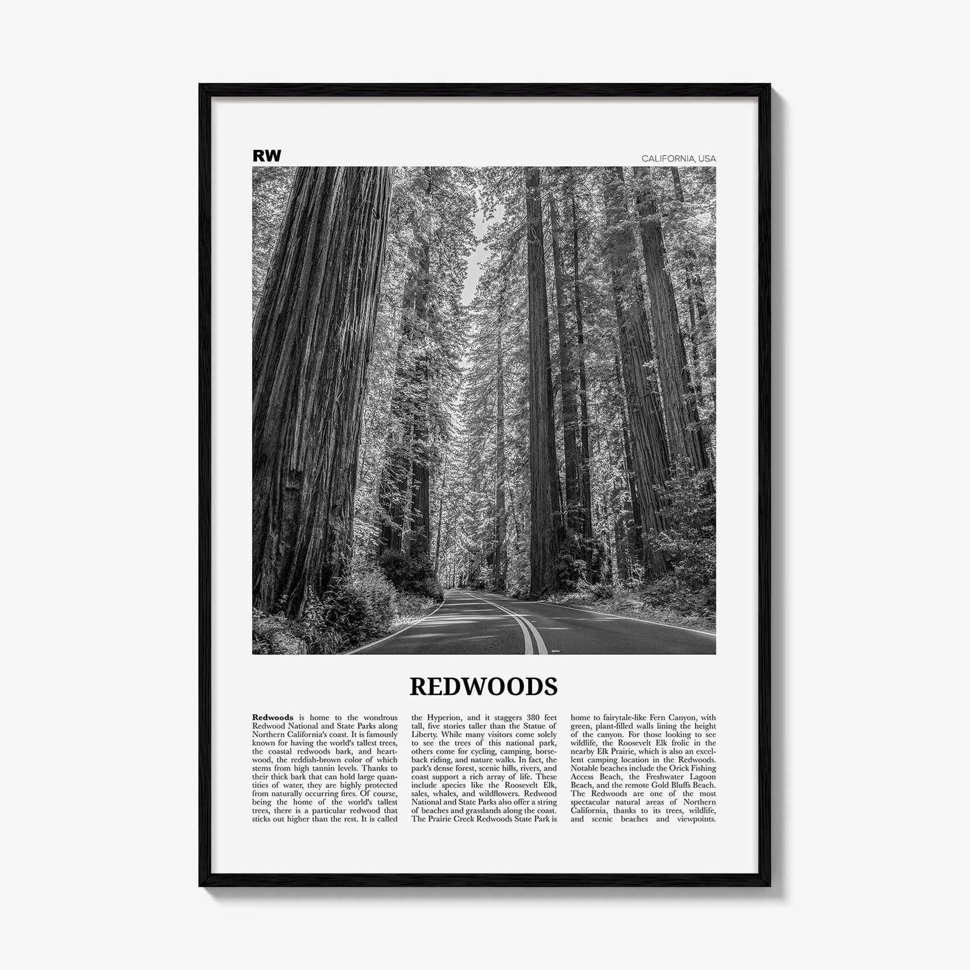 Redwoods Print Black and White, Redwoods Wall Art, Redwoods Poster, Redwoods Photo, Redwoods Map, Redwoods Decor, California