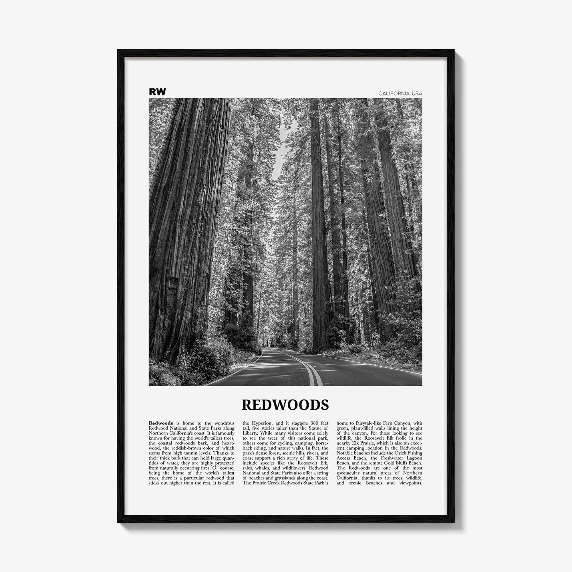 Redwoods Print Black and White, Redwoods Wall Art, Redwoods Poster, Redwoods Photo, Redwoods Map, Redwoods Decor, California
