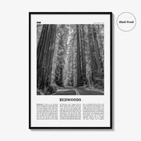 Redwoods Print Black and White, Redwoods Wall Art, Redwoods Poster, Redwoods Photo, Redwoods Map, Redwoods Decor, California