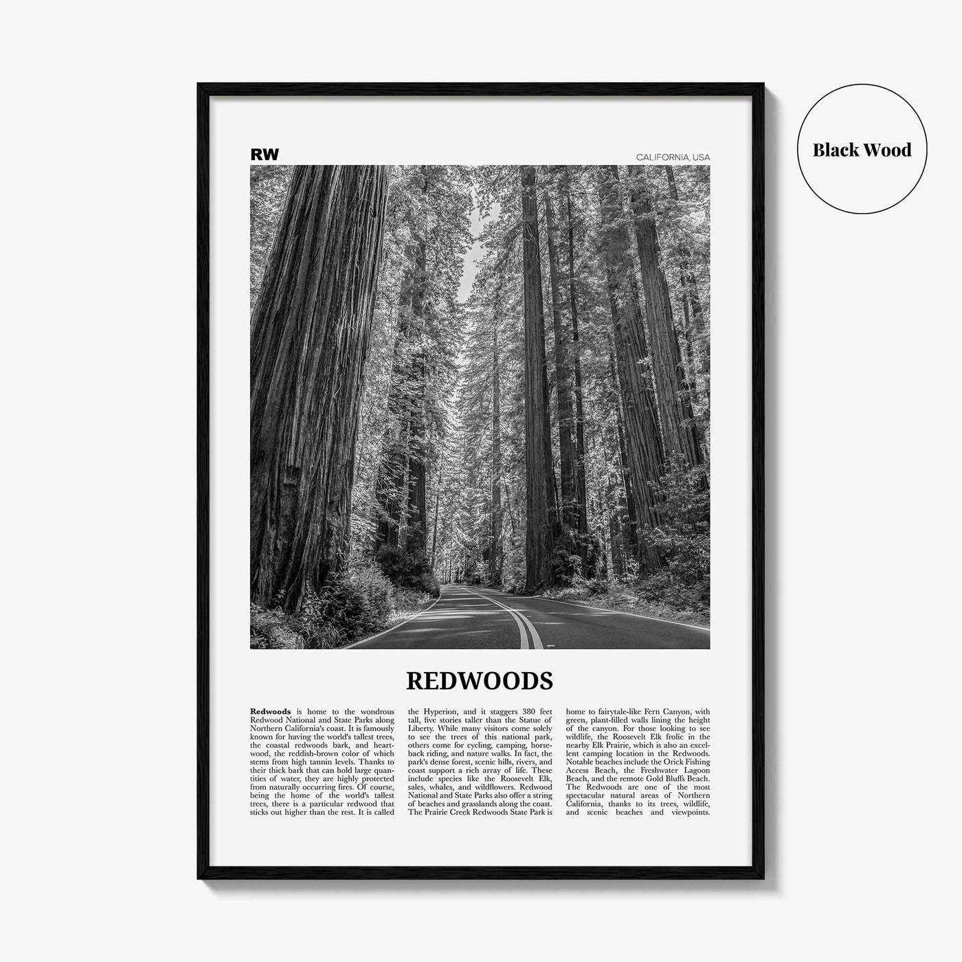 Redwoods Print Black and White, Redwoods Wall Art, Redwoods Poster, Redwoods Photo, Redwoods Map, Redwoods Decor, California