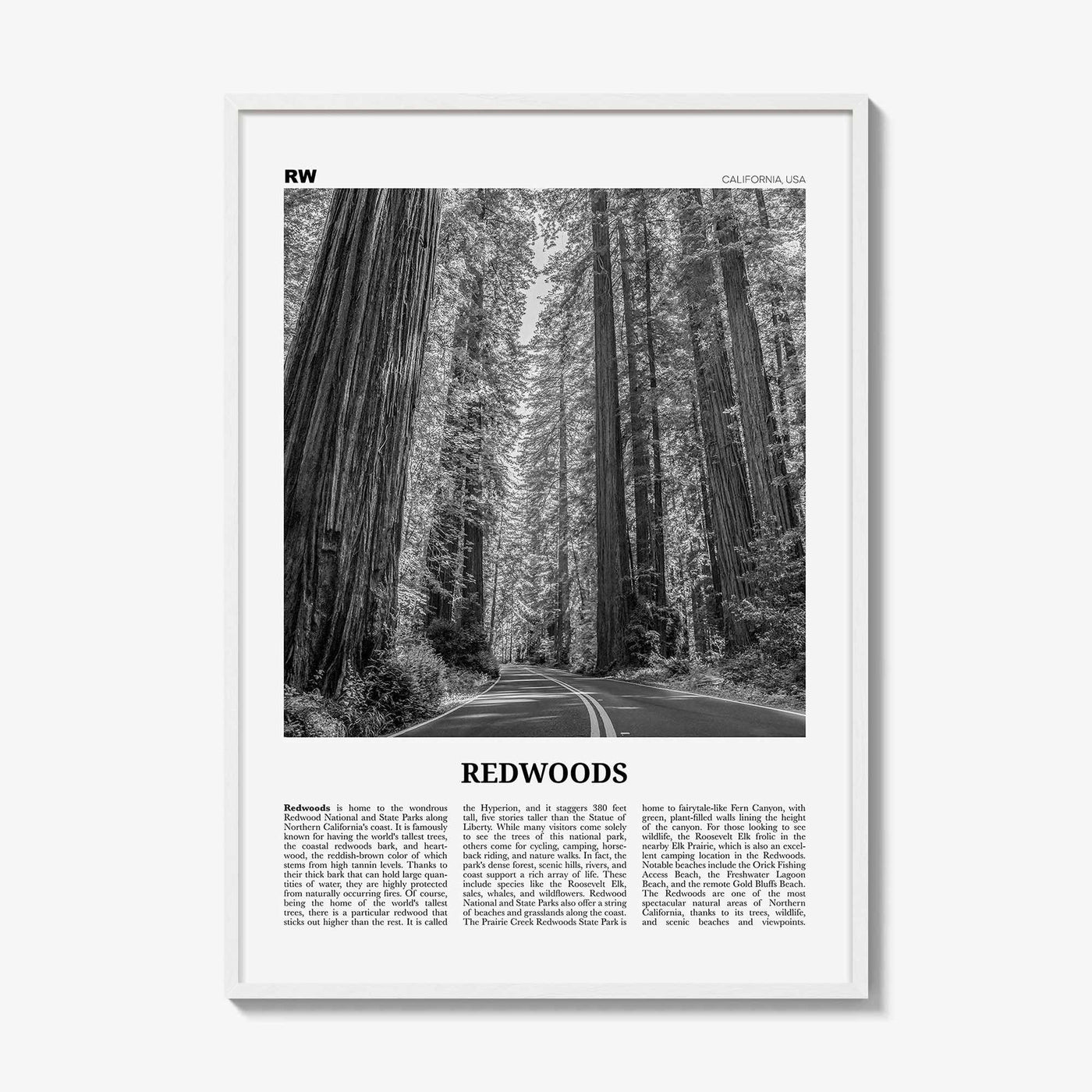 White Wood