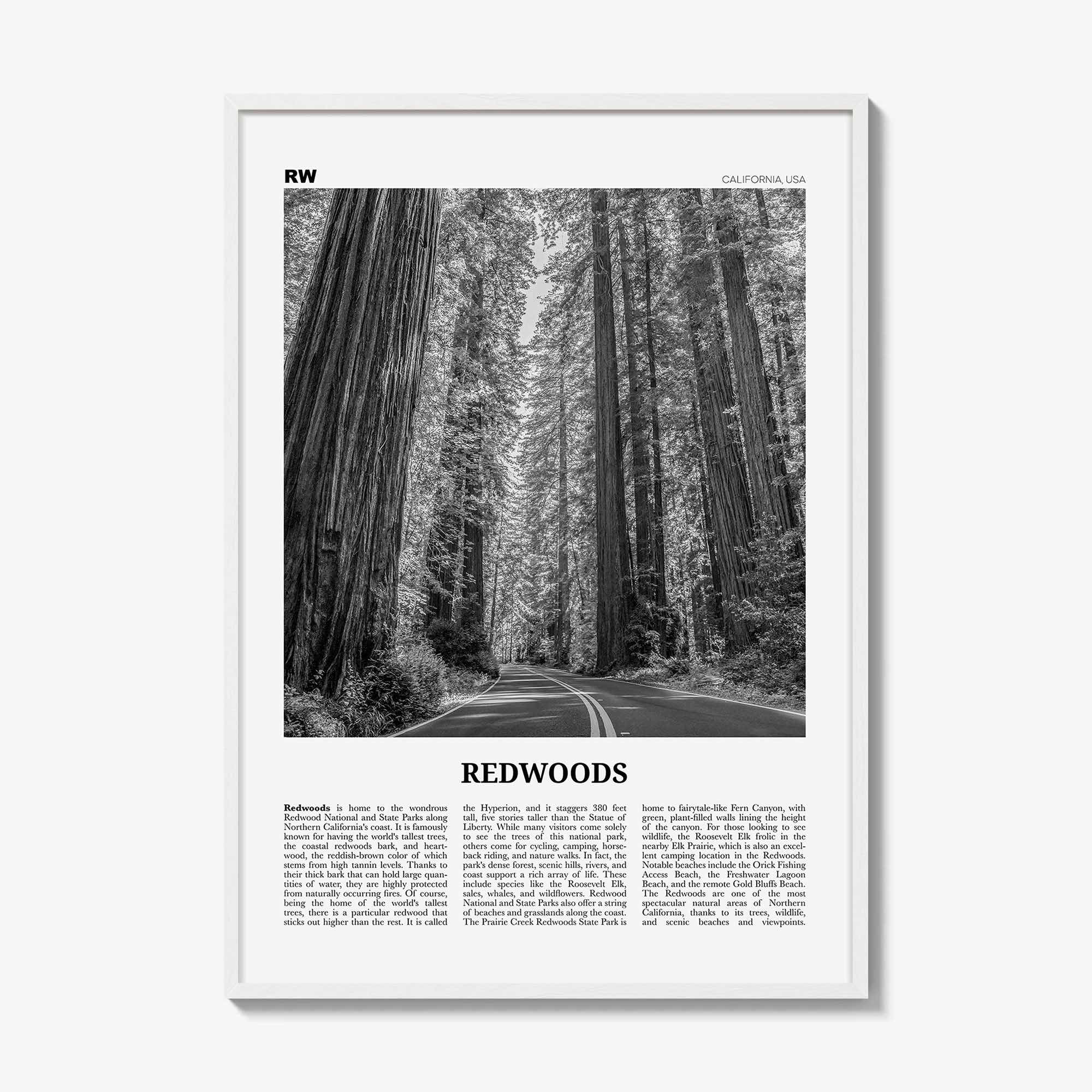 White Wood