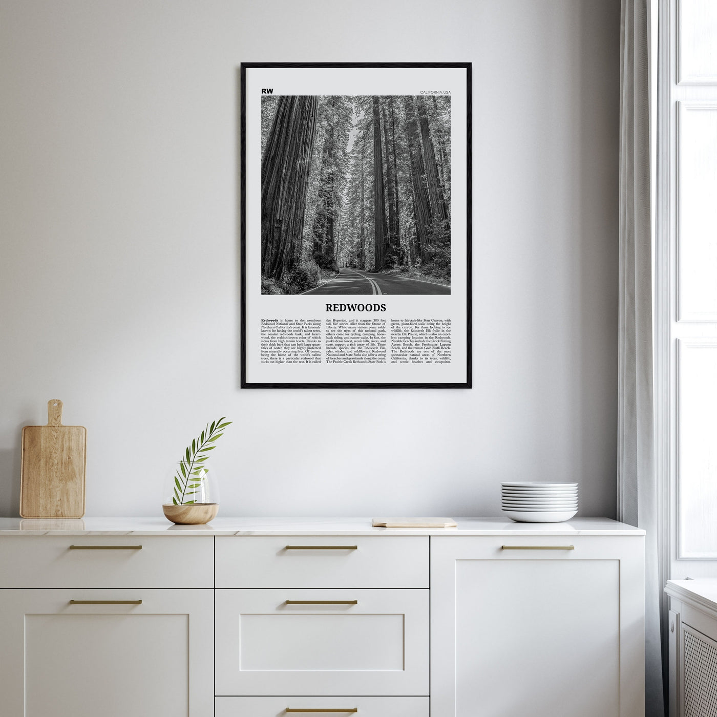 Redwoods Travel B&W Poster