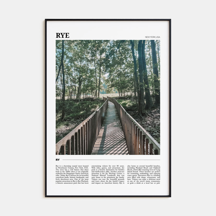 Rye Travel Color Poster