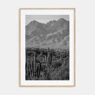Saguaro National Park Photo B&W No 1 Poster