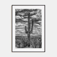 Saguaro National Park Photo B&W No 2 Poster