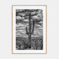Saguaro National Park Photo B&W No 2 Poster