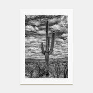 Saguaro National Park Photo B&W No 2 Poster