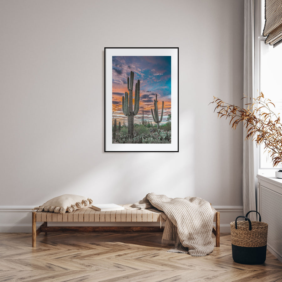 Saguaro National Park Photo Color No 2 Poster