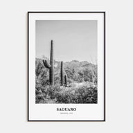 Saguaro National Park Portrait B&W Poster