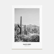 Saguaro National Park Portrait B&W Poster