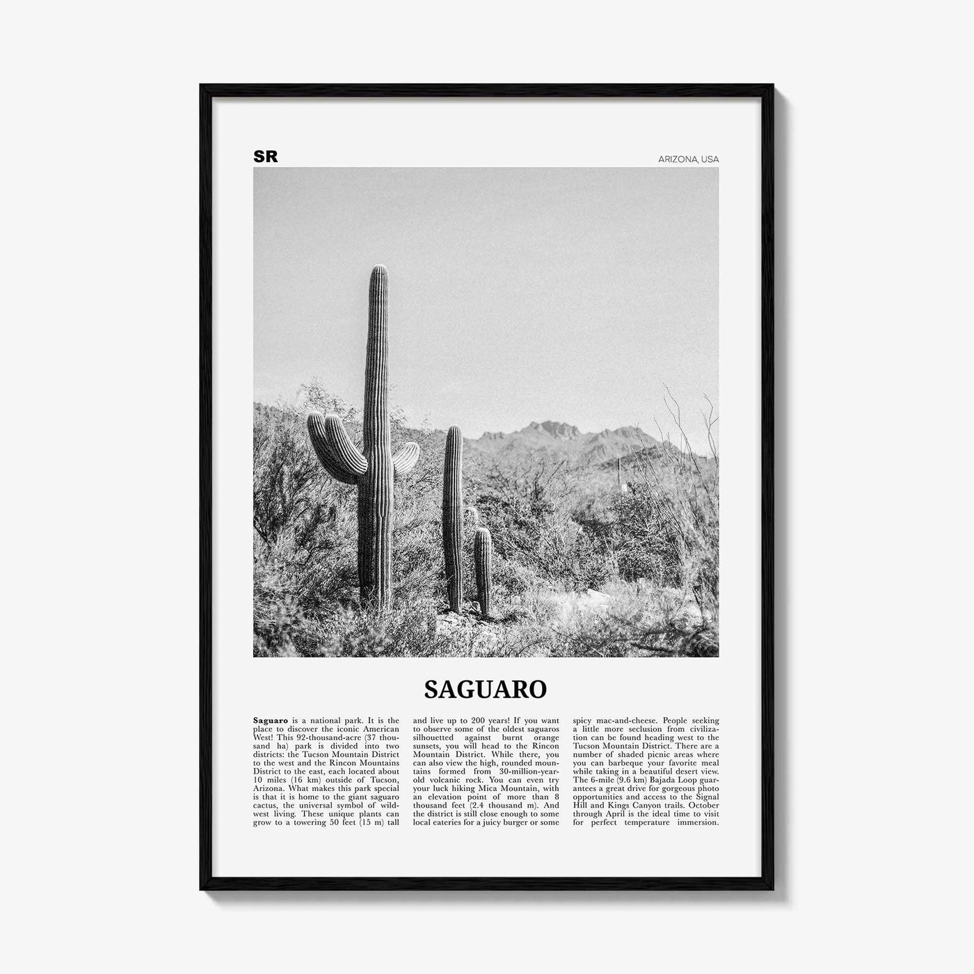 Saguaro National Park Print Black and White, Saguaro Wall Art, Saguaro Poster, Saguaro Photo, Arizona, USA, United States, North America