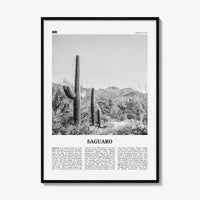 Saguaro National Park Print Black and White, Saguaro Wall Art, Saguaro Poster, Saguaro Photo, Arizona, USA, United States, North America