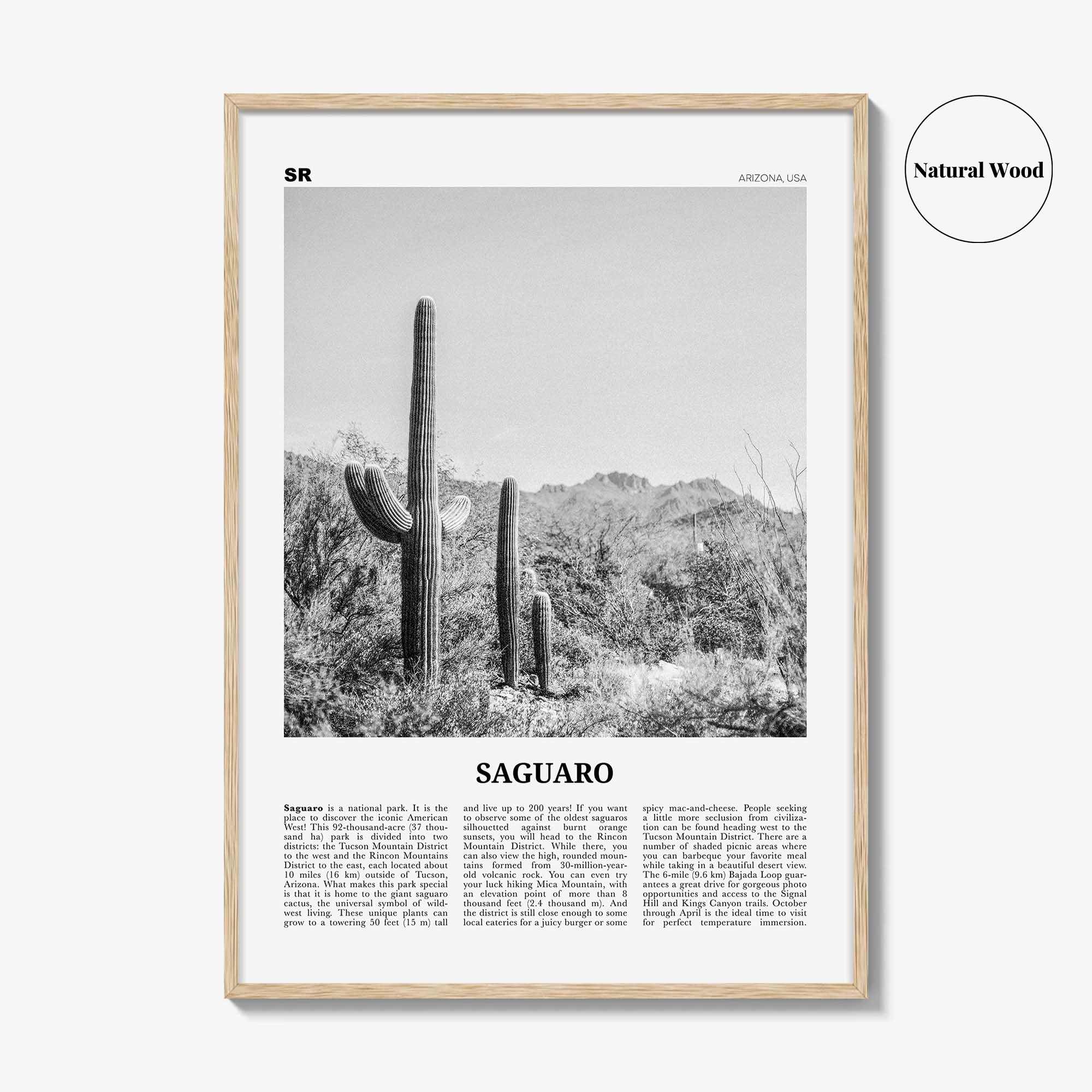 Saguaro National Park Print Black and White, Saguaro Wall Art, Saguaro Poster, Saguaro Photo, Arizona, USA, United States, North America