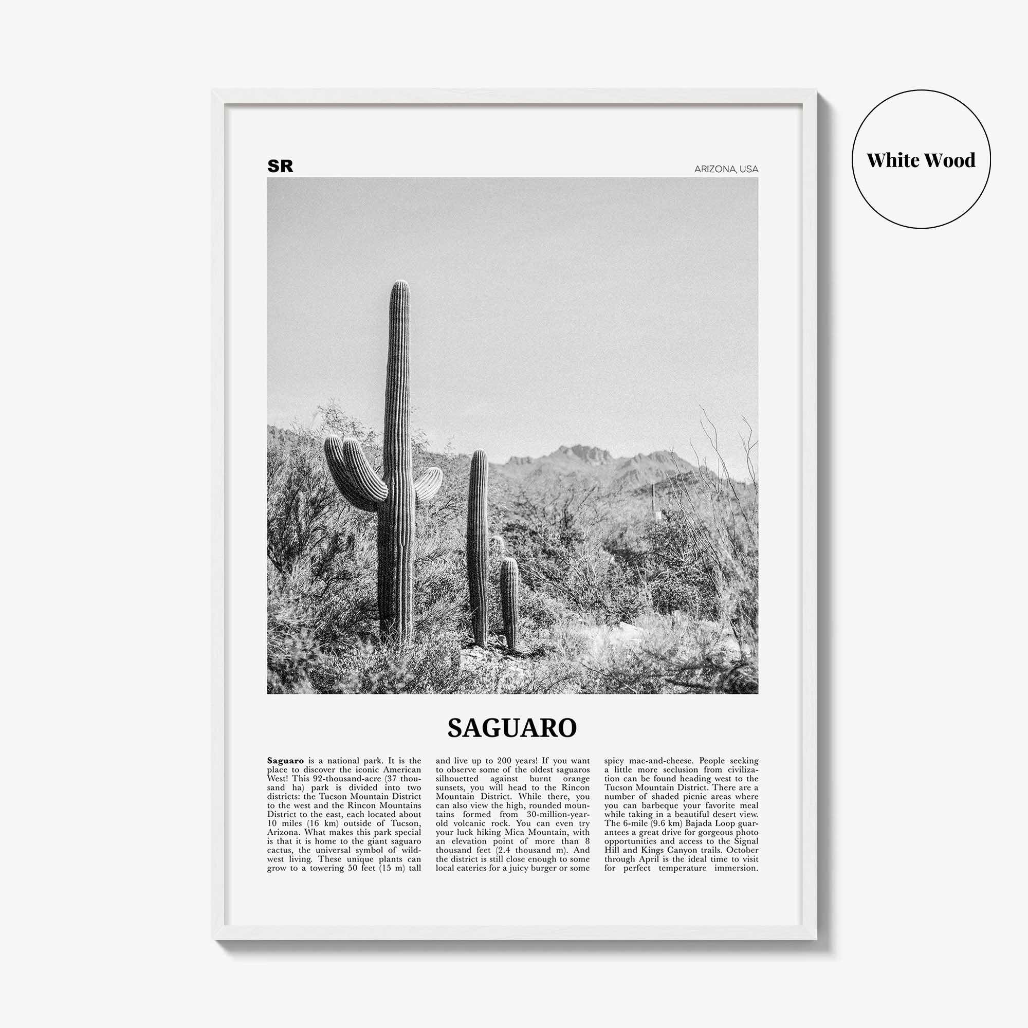 Saguaro National Park Print Black and White, Saguaro Wall Art, Saguaro Poster, Saguaro Photo, Arizona, USA, United States, North America
