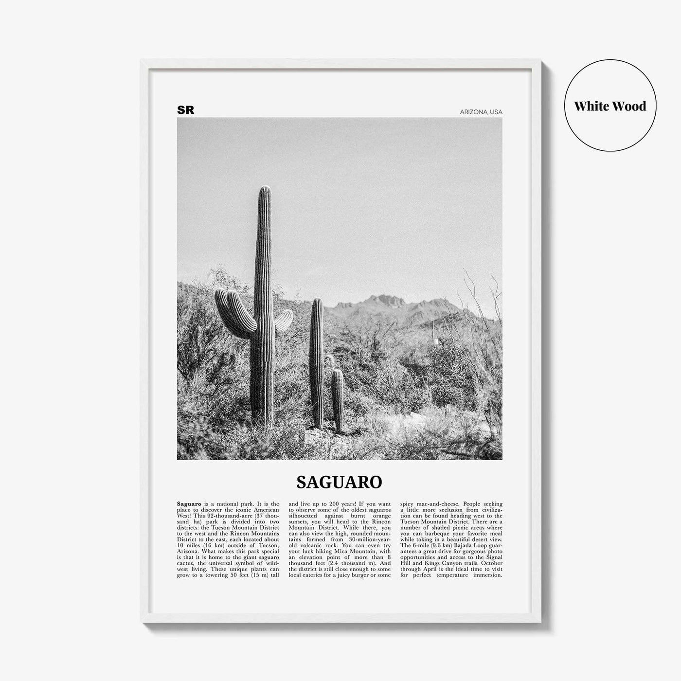 Saguaro National Park Print Black and White, Saguaro Wall Art, Saguaro Poster, Saguaro Photo, Arizona, USA, United States, North America
