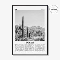 Saguaro National Park Print Black and White, Saguaro Wall Art, Saguaro Poster, Saguaro Photo, Arizona, USA, United States, North America