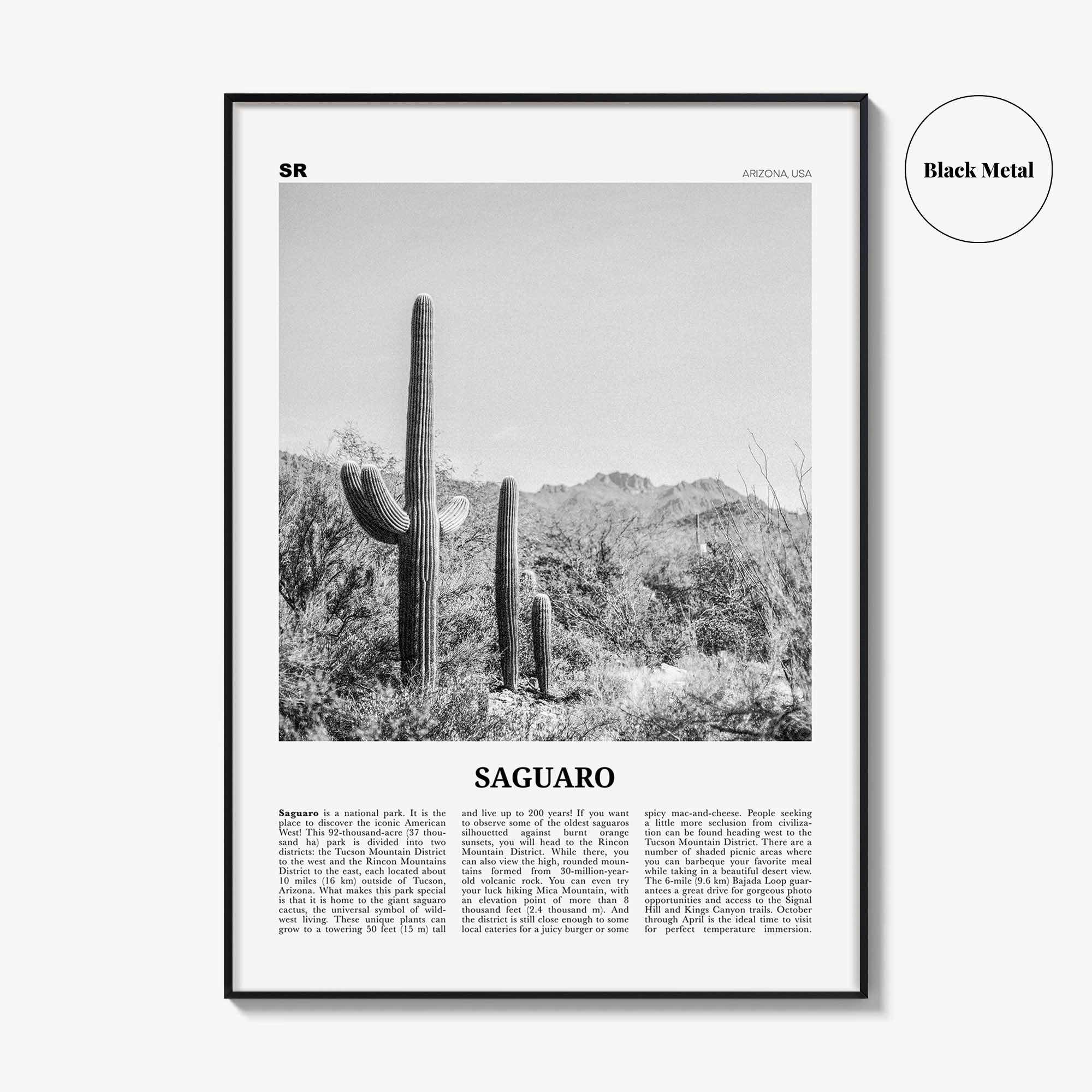 Saguaro National Park Print Black and White, Saguaro Wall Art, Saguaro Poster, Saguaro Photo, Arizona, USA, United States, North America